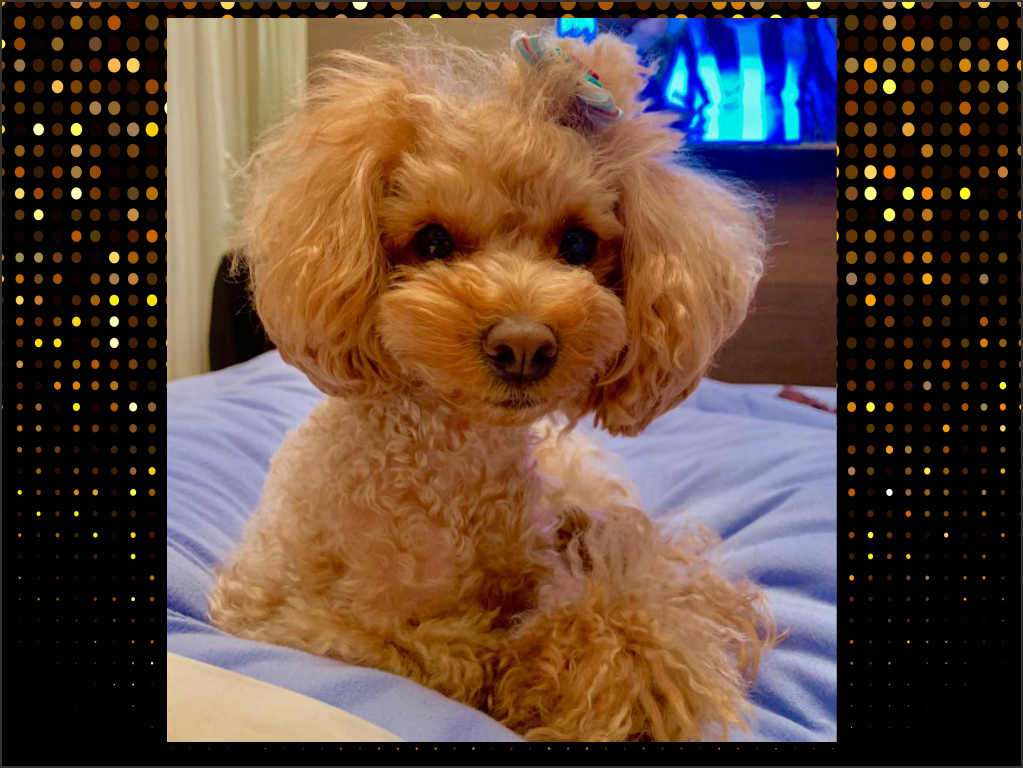 6 slide